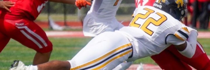 Ronnie Gordon banner