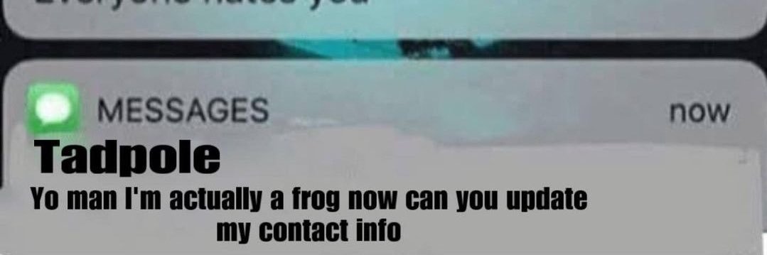 ocean 🍉 CHECK PINNED banner