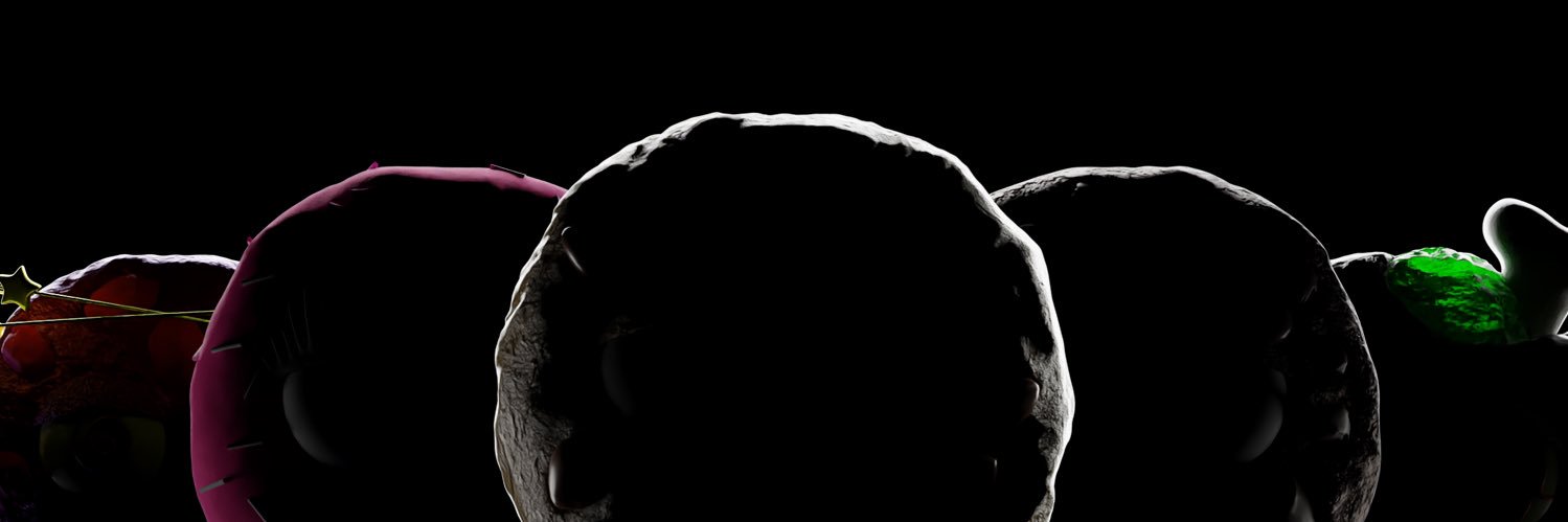 Cookie NFT banner