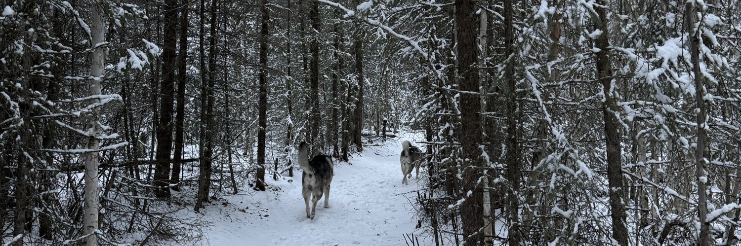 wollyballs's profile banner image