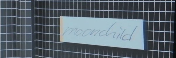 luvrnjoon Profile Banner