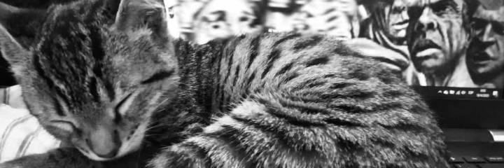 Camila Menchaca banner