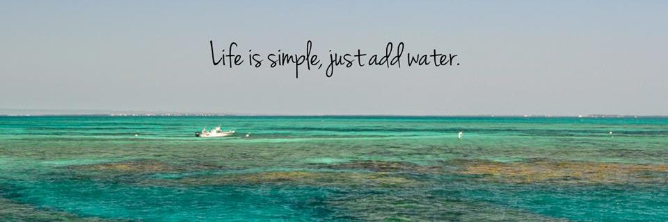 NorthFish327's profile banner image