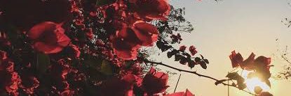 yrraaaahstyless's profile banner image