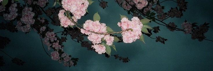 bubbl3m1nt's profile banner image