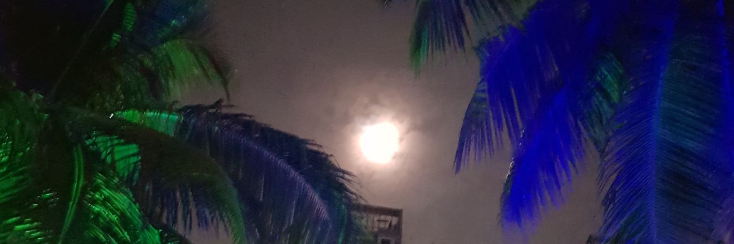 SandeepT2020's profile banner image
