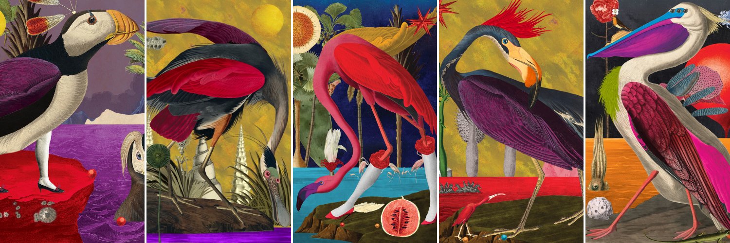 Birds of Sōlis — Migrating to ETH ☀️ banner