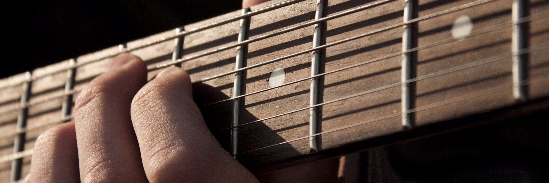 Robert Callus banner