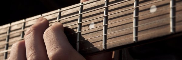 bertucallus Profile Banner