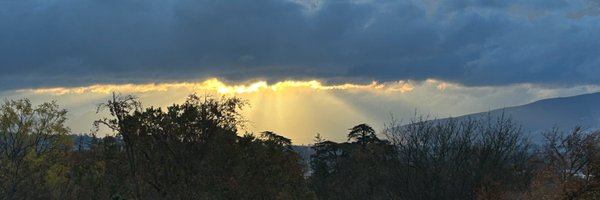 JeremyFarrar Profile Banner