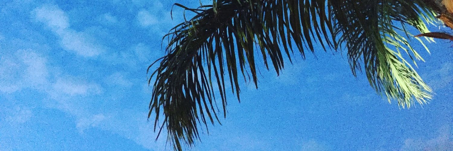 LizeetAl's profile banner image