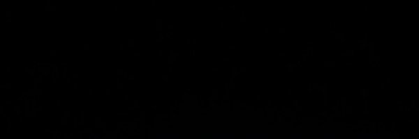 evan_grey59 Profile Banner