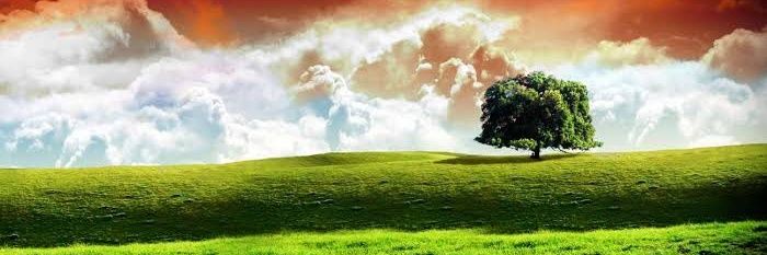 mayank4nation's profile banner image