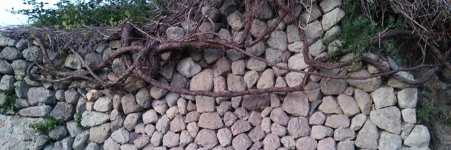 fradik's profile banner image