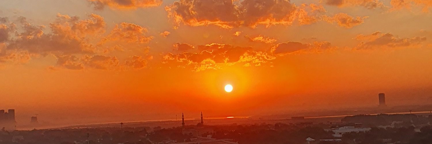 syedalinaveed's profile banner image
