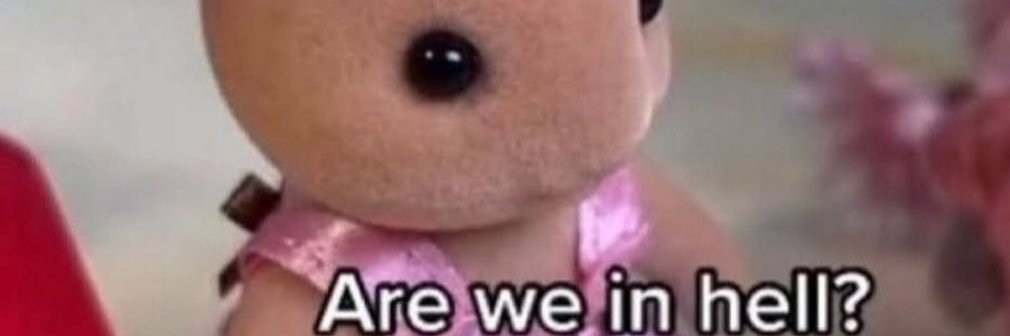 snoopy enjoyer banner