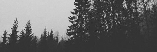 dragmenarry_'s profile banner image