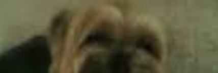 Theonlyskypie 🇺🇦 banner