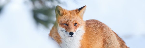 v1nce_base Profile Banner