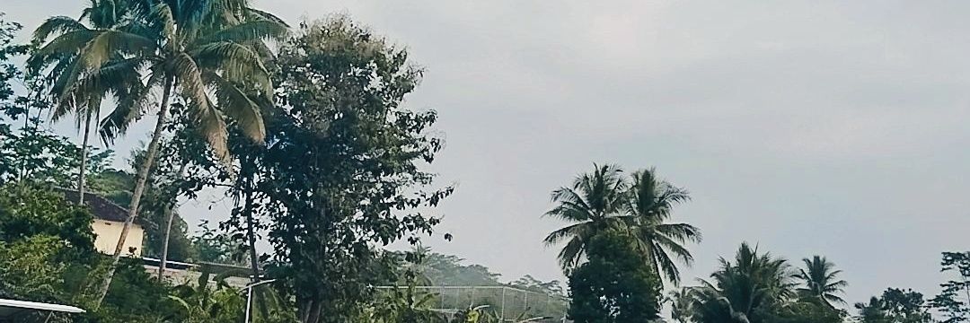Matchauros98's profile banner image