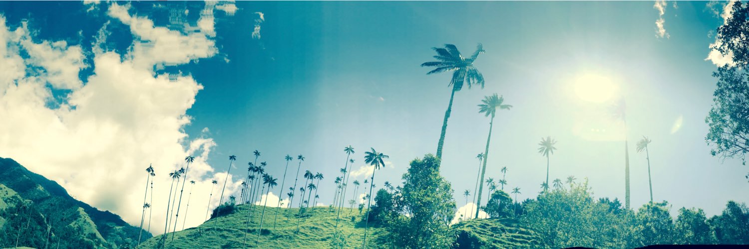 pollobarra's profile banner image