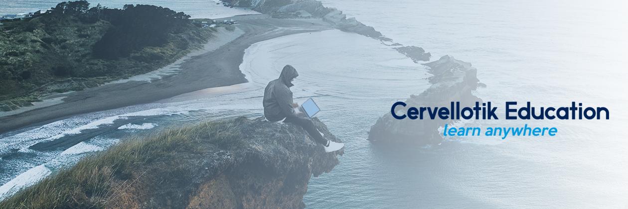Cervellotik's profile banner image