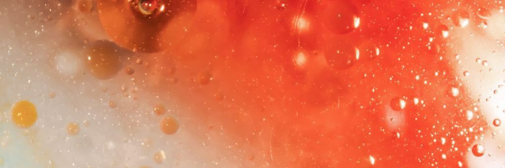 Eeshani Mitra banner