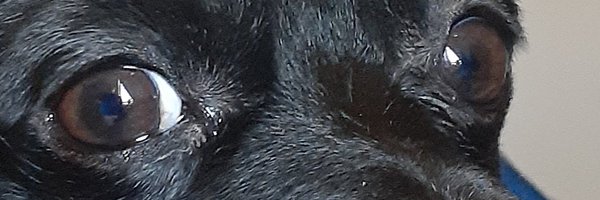 jbalde36 Profile Banner