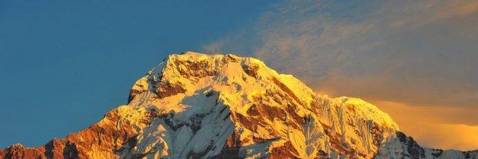 Peter McInerney banner