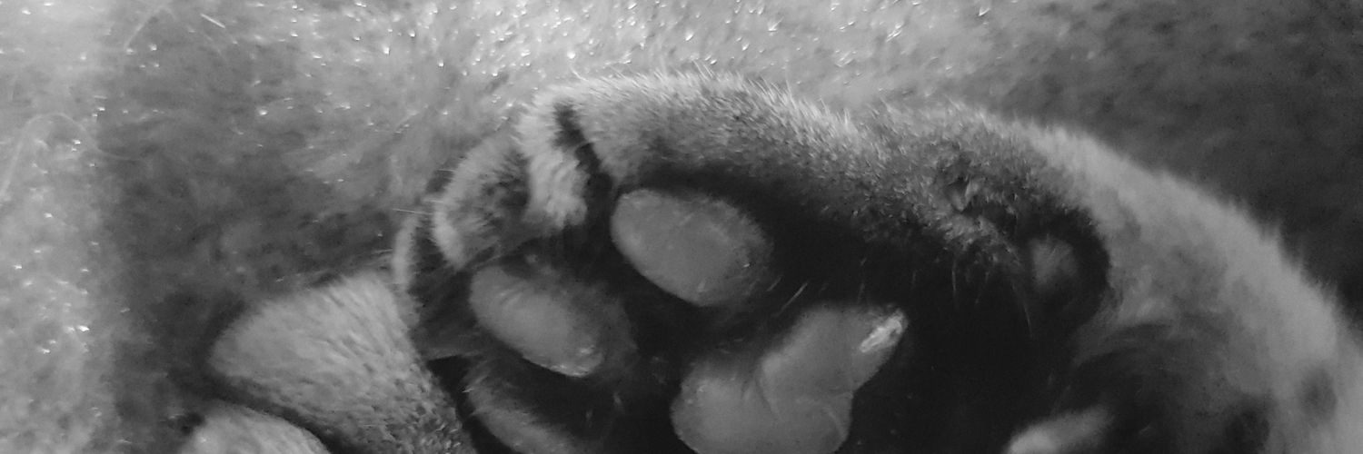 RiosdeRuiz's profile banner image