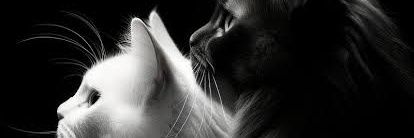 ᮏᮒᮤᮔᮤᮞ᮪ᮊᮜ Rumi banner