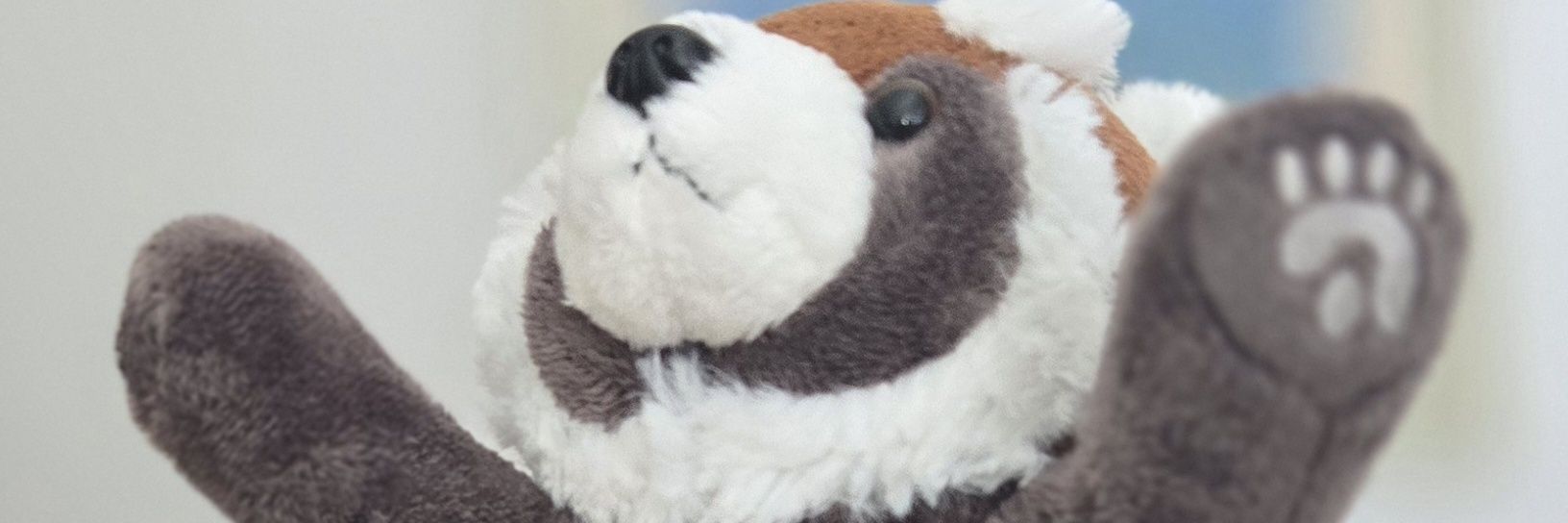 Red Panda banner