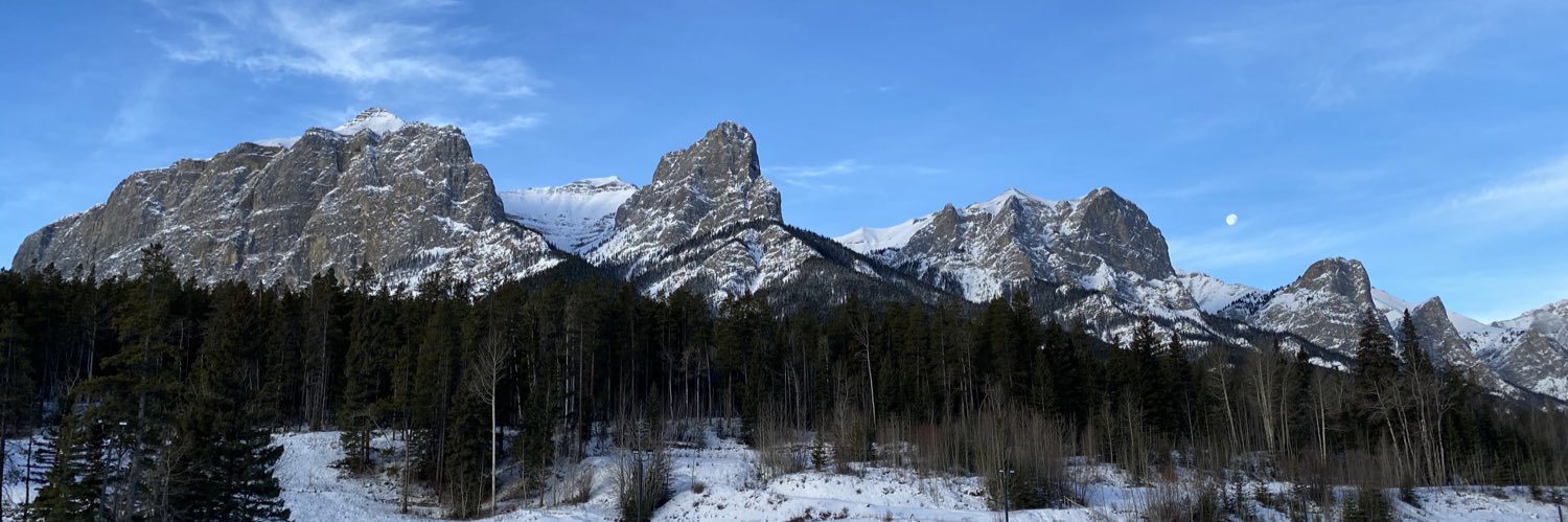 Amanda Provan banner