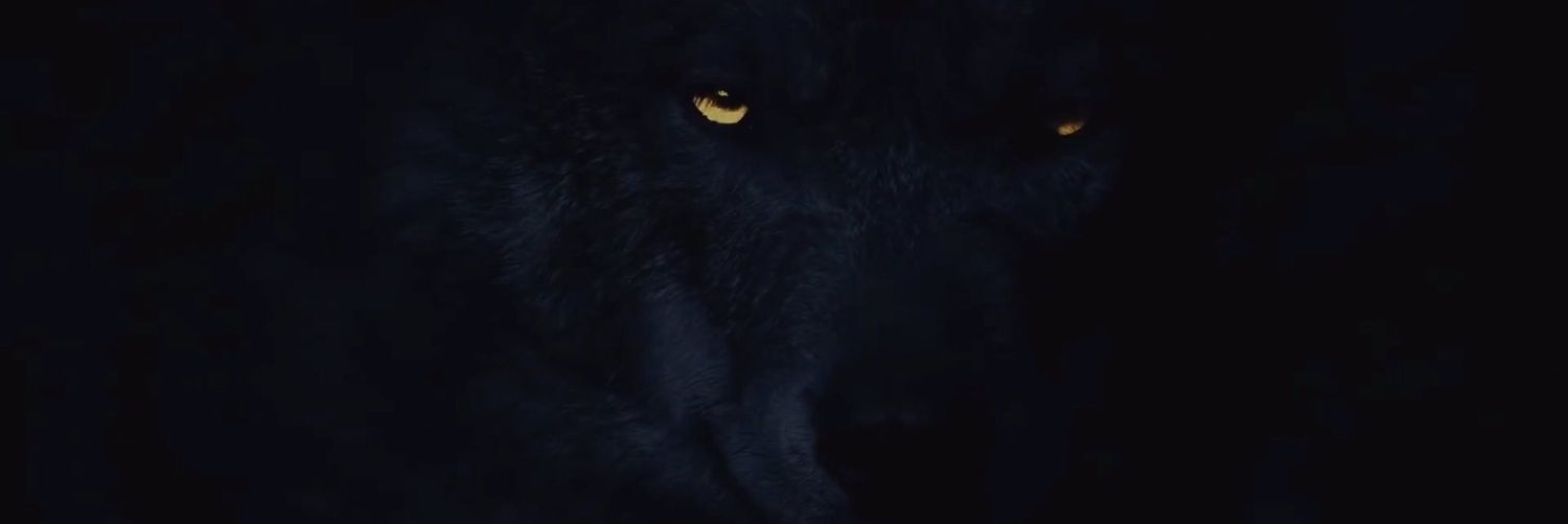 HouseholdAlpha's profile banner image