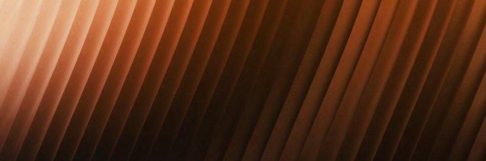 Dani Vázquez banner