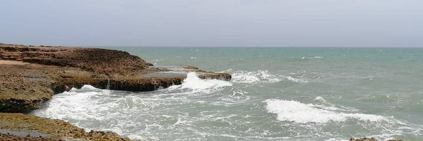 luis felipe ospina banner