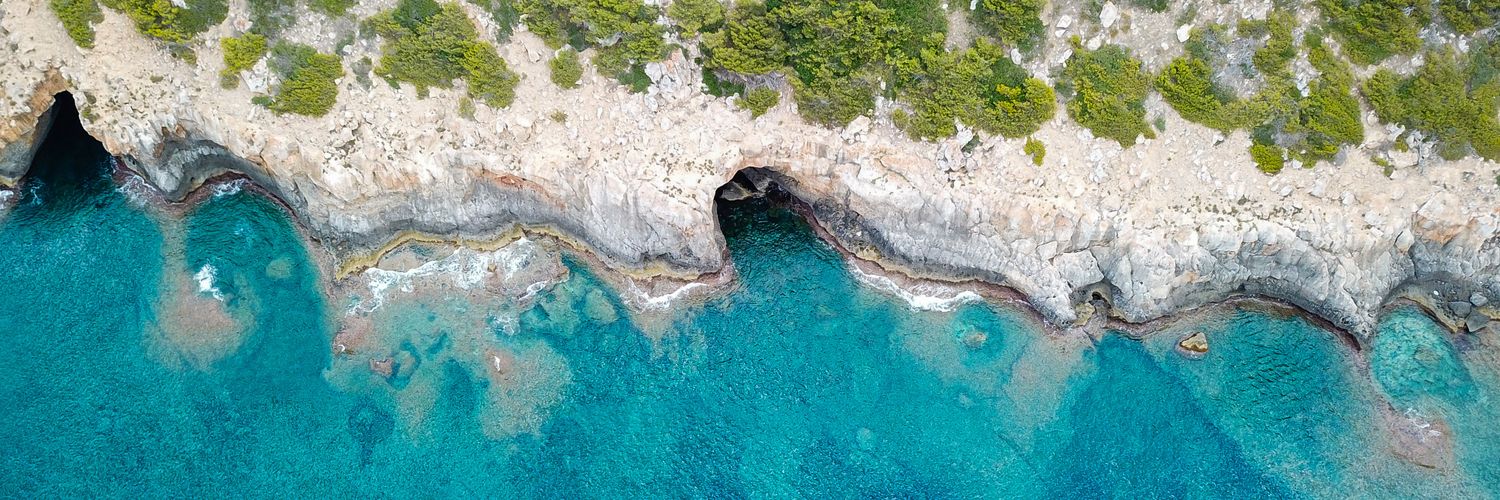 Bacary Lasagne banner