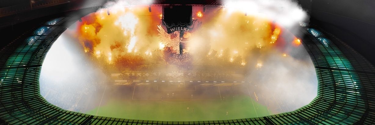 Erykmenrog🇮🇹 banner