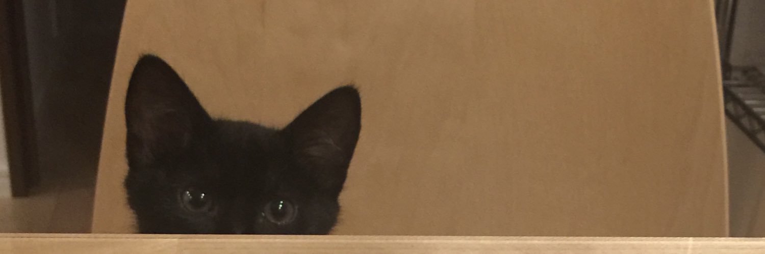 occhikey's profile banner image