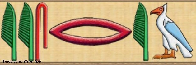 qwee alex aziz banner