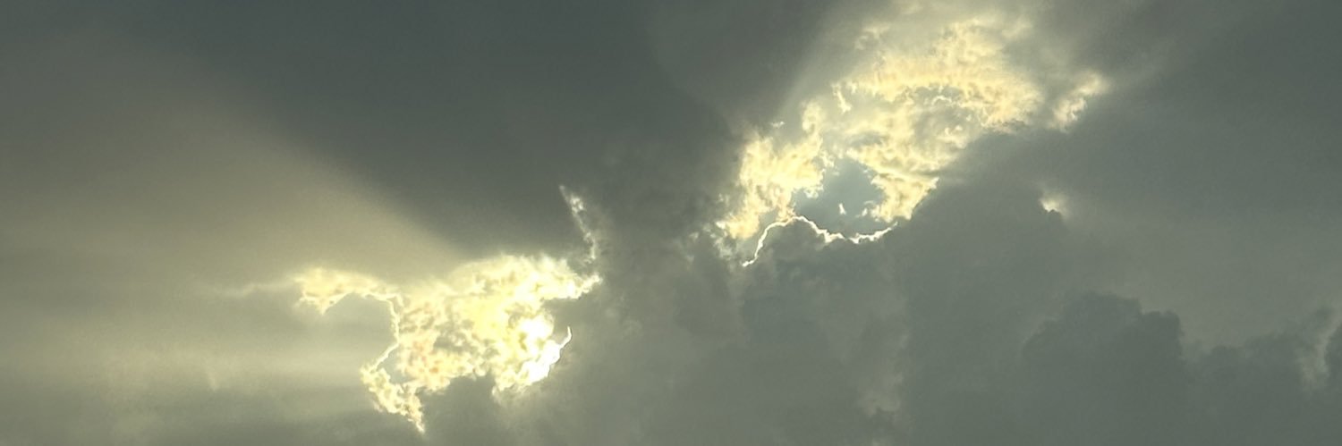 PriscilaaRoman's profile banner image