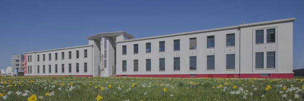 caue_49 Profile Banner