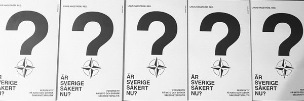 Prof_Hagstrom Profile Banner