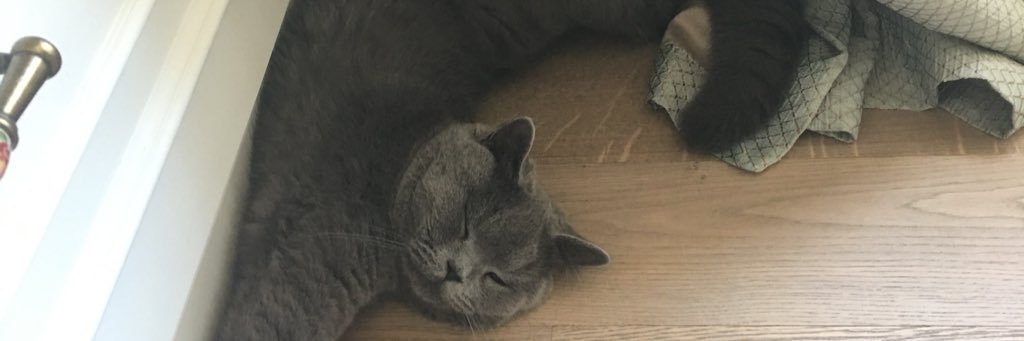 cnkk_a's profile banner image