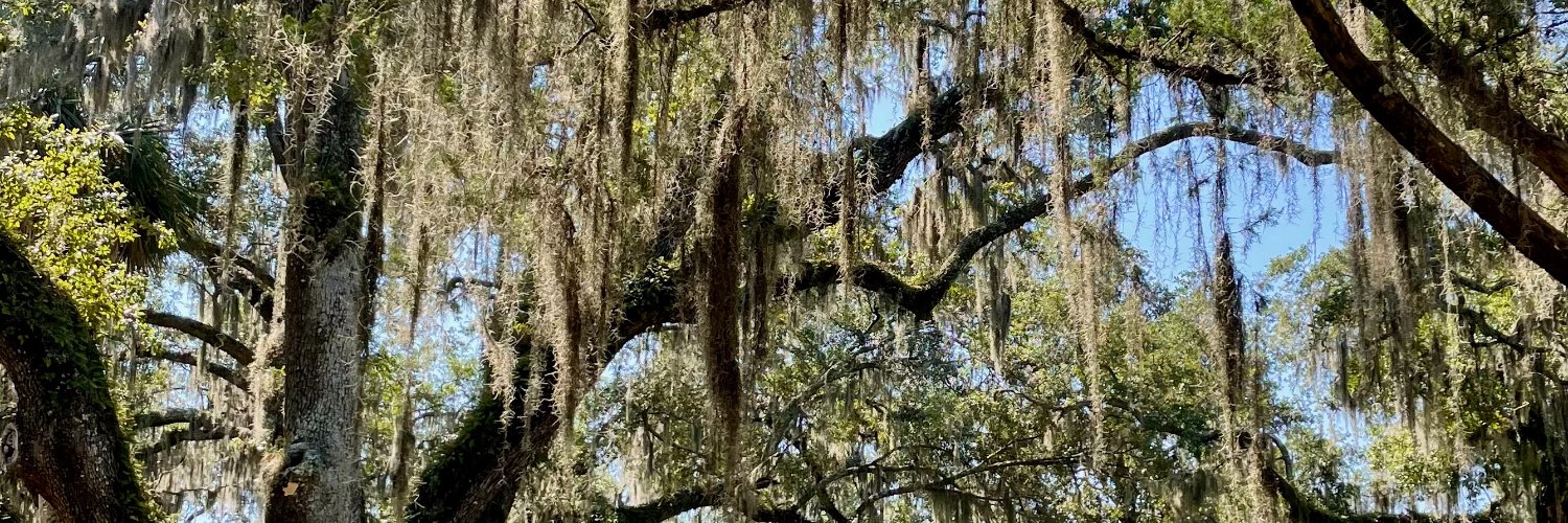 Katherine Leonard banner