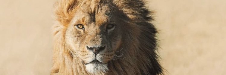 nikrider2's profile banner image
