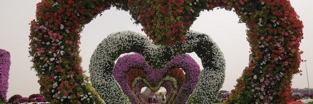 Maria Mountis banner