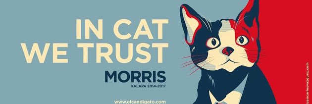 El Candigato Morris banner