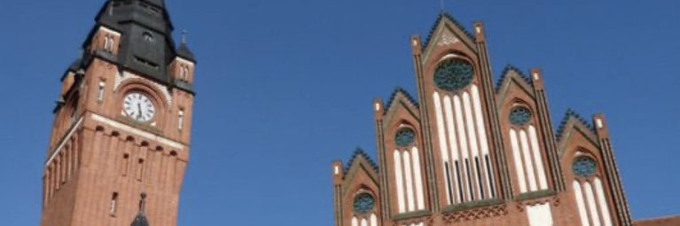 BSW Mitglieder&Unterstützer Treptow-Köpenick🕊️ banner