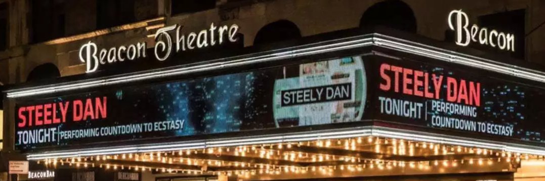 steely dan video banner